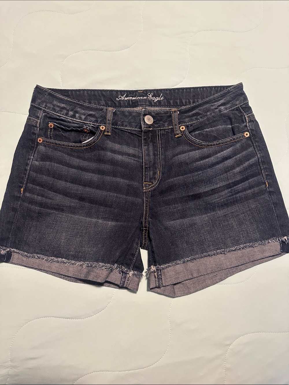 American Eagle Outfitters Black Dark Wash Frayed Hem Denim Shorts